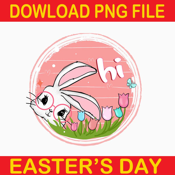 Rabbit Hi Png