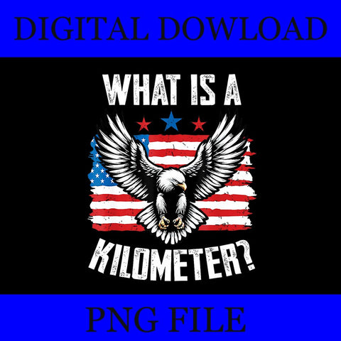 What Is A Kilometer Eagle PNG, Eagle 4th Of July PNG