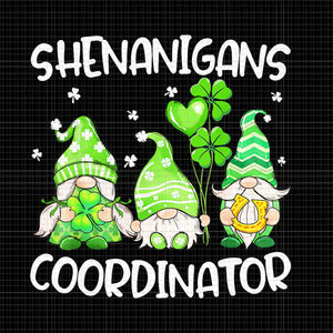 Shenanigans Coordinator Gnomes Png, Gnomes Teachers St Patrick's Day Png