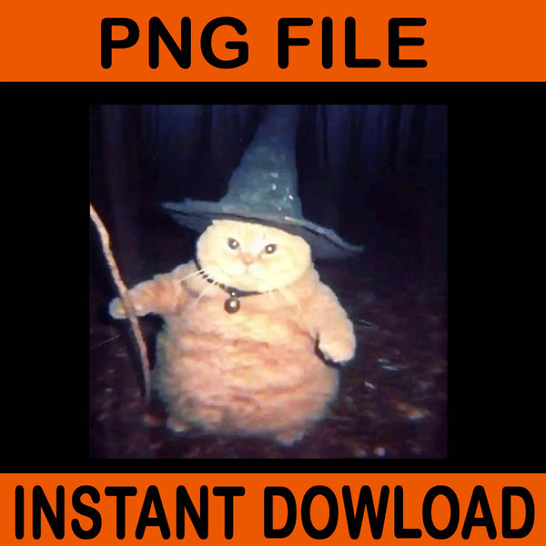 Wizard Cat Weird PNG, Funny Halloween Cat Meme PNG