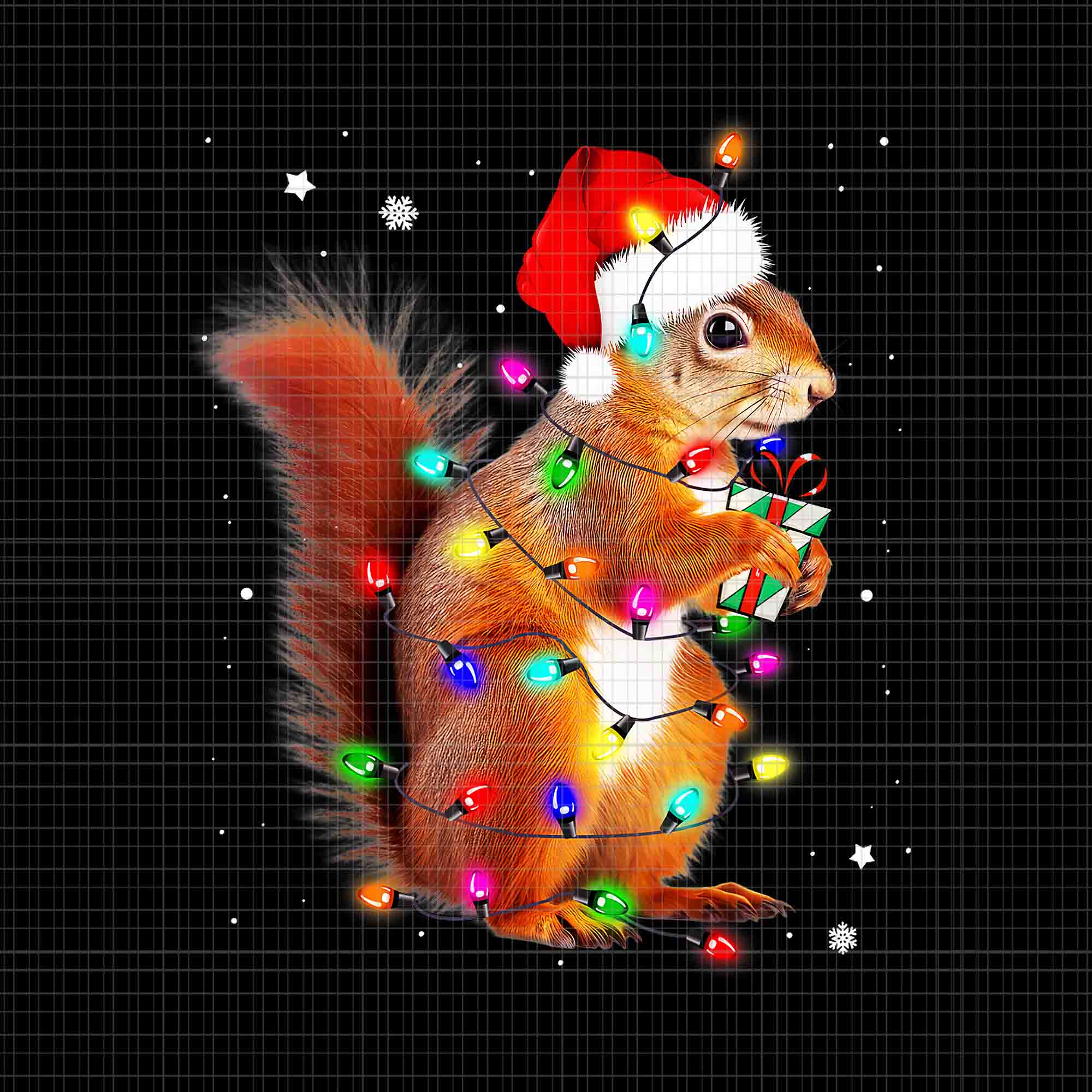 Squirrel Christmas Hat Santa PNG, Squirrels Lover Xmas PNG, Squirrel Light Xmas PNG