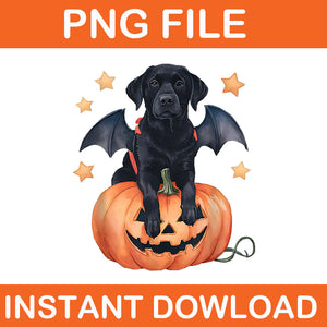 Cute Black Labrador Dog Halloween Pumpkin Labrador Dog Mom PNG