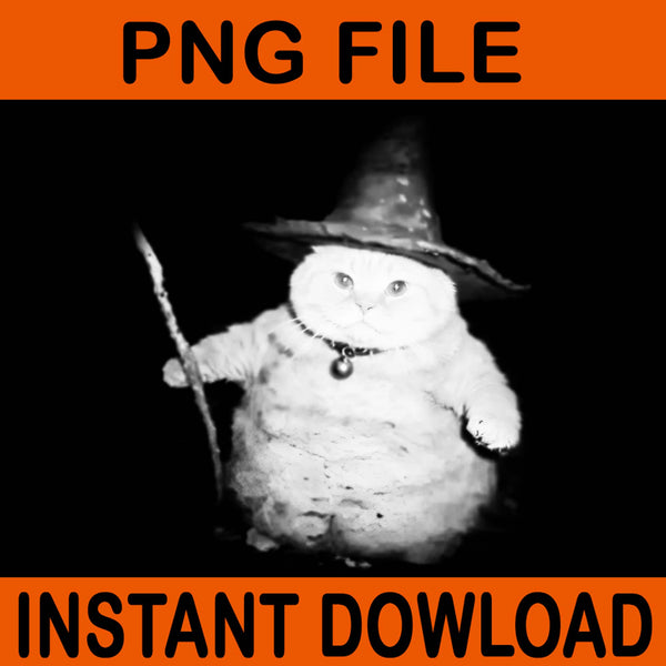 Wizard Cat Weird PNG, Funny Halloween Cat Meme PNG