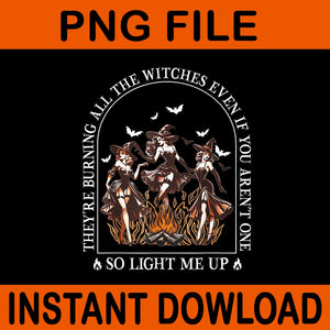 They're Burning All The Witches Even If You Aren't One PNG