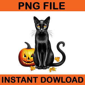 Vintage Creepy Spooky Black Cat Pumpkin Halloween PNG