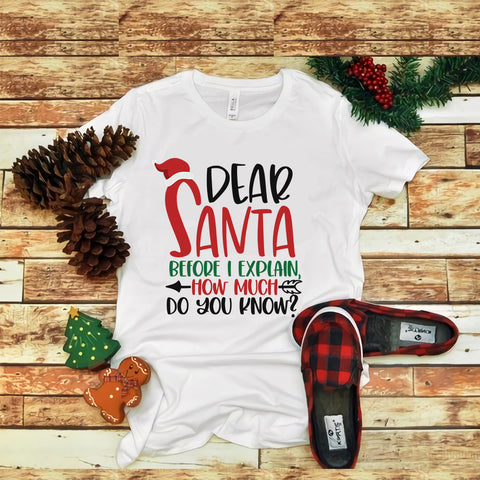 Dear Santa before i explain how much do you know svg, snow svg, snow christmas, christmas svg, christmas png, christmas vector, christmas design tshirt, santa vector, santa svg, holiday svg, merry christmas, cut file