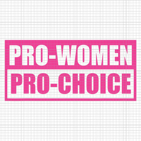 Pro Woman Pro Choice Svg, Pro Roe 1973 Svg, Prochoice Svg, Women's Rights Feminism Protect Svg