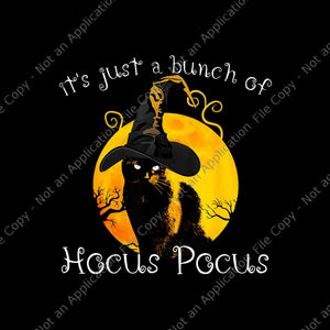It's Just a Bunch Of Hocus Pocus Png, Black Cat Moon Funny Halloween Png, Bunch of Hocus Pocus Png, Black Cat Halloween Png, Cat Halloween Png