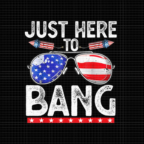 I'm Just Here To Bang 4th of July Fireworks PNG, I'm Just Here To Bang PNG, 4th of July vector, 4th of July PNG
