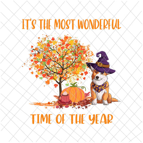 It's The Most Wonderful Time Of The Year Corgi Png, Love Dog Corgi Png, Hello Fall Png, Happy Fall Y'all Png, It's Fall Y'all Png, Autumn Png