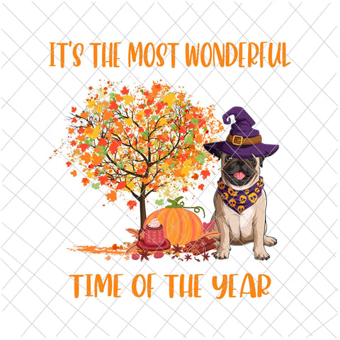 It's The Most Wonderful Time Of The Year Pug Png, Love Dog Pug Png, Hello Fall Png, Happy Fall Y'all Png, It's Fall Y'all Png, Autumn Png