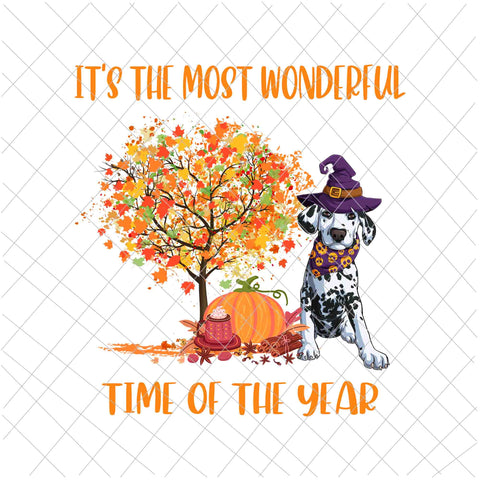 It's The Most Wonderful Time Of The Year Dalmatian Png, Love Dog Dalmatian Png, Hello Fall Png, Happy Fall Y'all Png, It's Fall Y'all Png, Autumn Png